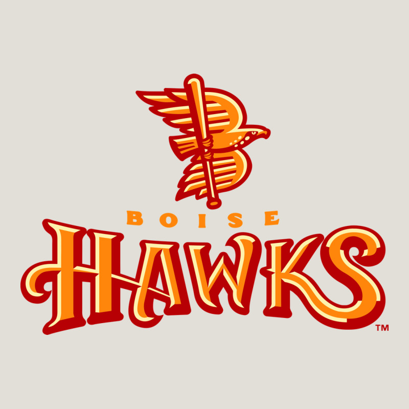 The-boise-hawks-fan Heavy Core Tee by linhVisuals | Teevron