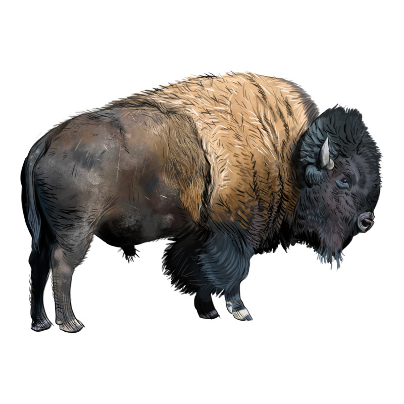 Bison Buffalo Urban Heavy Tee by LillyAllenDesigns | Teevron
