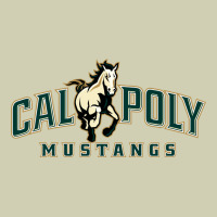 Cal Poly Heavy Core Tee | Teevron