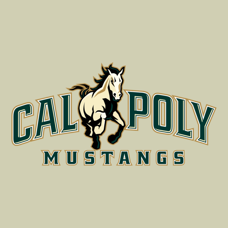 Cal Poly Heavy Core Tee by linhVisuals | Teevron