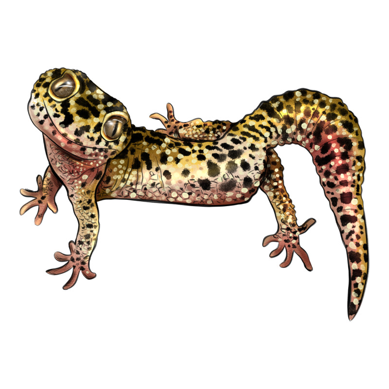 Gecko Lizard Illustrations Long Sleeve Tee by LillyAllenDesigns | Teevron