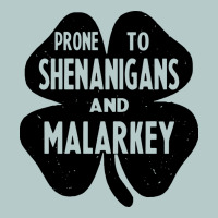 Prone To Shenanigans And Malarkey Heavy Core Tee | Teevron