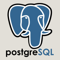 Postgresql Heavy Core Tee | Teevron
