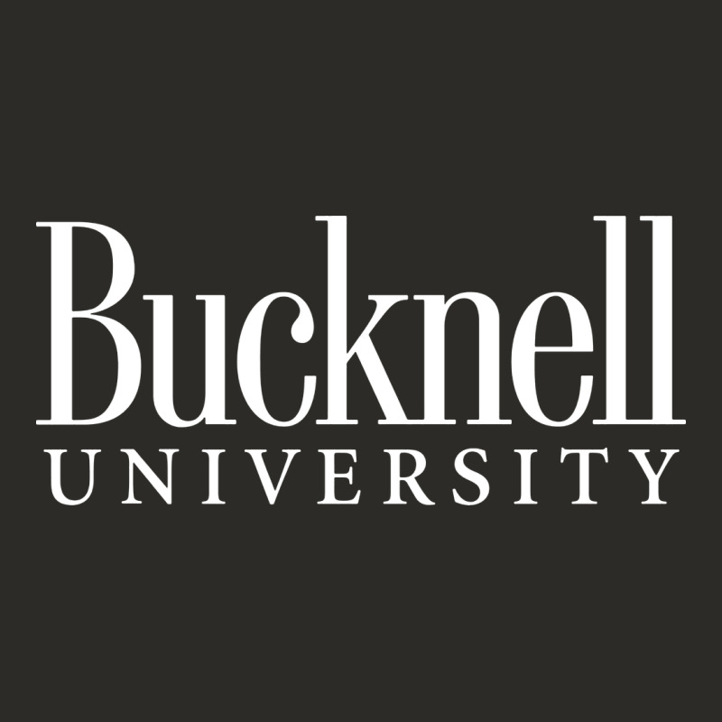 Bucknell University Heavy Core Tee by linhVisuals | Teevron