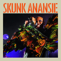 Skunk Anansie Heavy Core Tee | Teevron