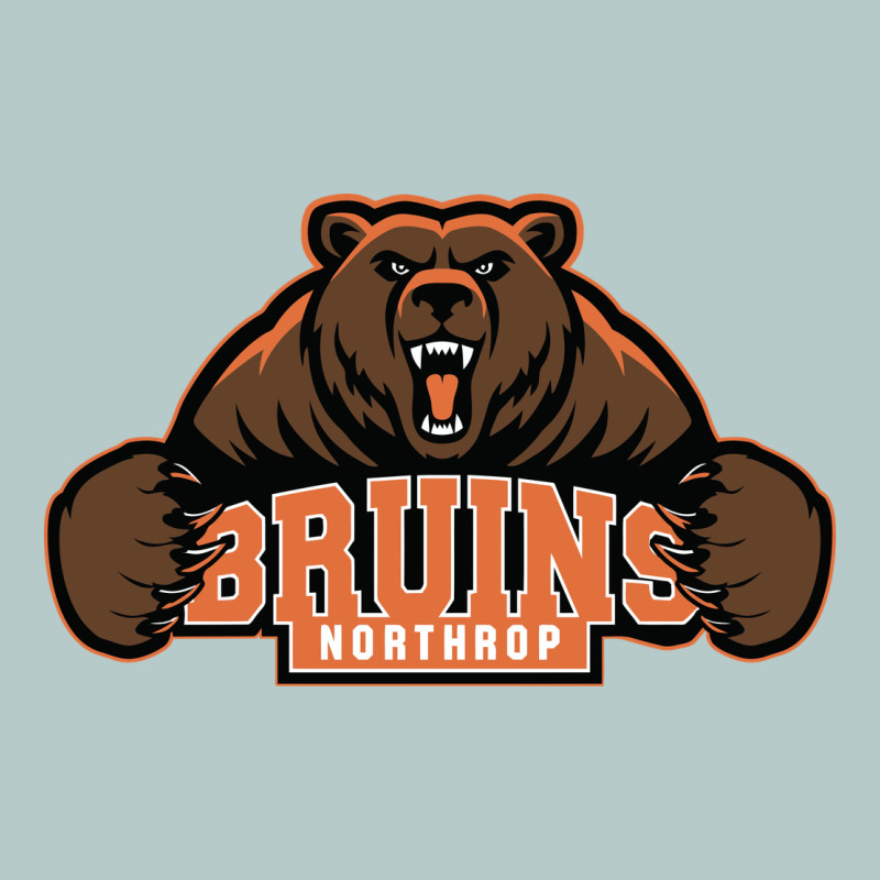 Northrop High School Heavy Core Tee by linhVisuals | Teevron
