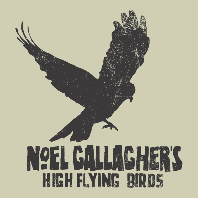 Noel Gallagher's High Flying Birds Classic Heavy Core Tee by linhVisuals | Teevron