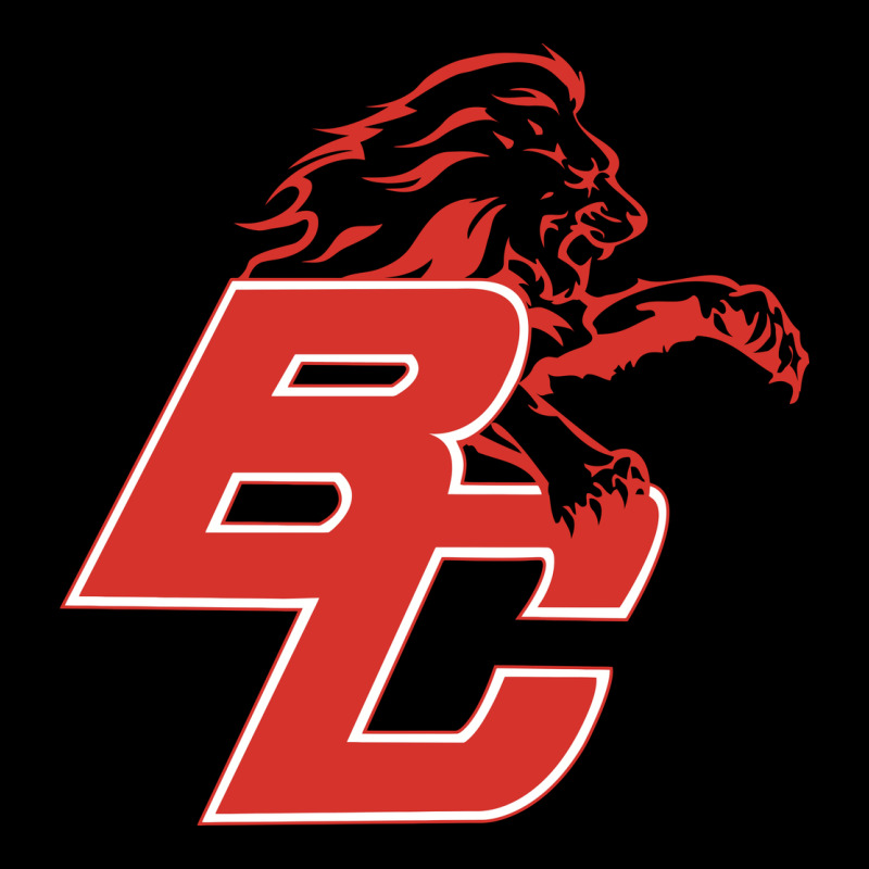 Boyd County High School Baseball Heavy Core Tee by linhVisuals | Teevron