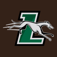 Loyola (md) Greyhounds Heavy Core Tee | Teevron