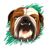 Bulldog Green glitter | Teevron