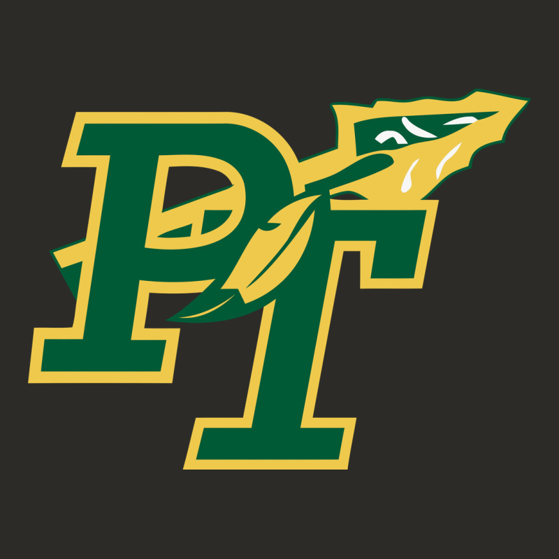 Penn Trafford School District Heavy Core Tee by linhVisuals | Teevron