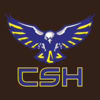 Cold Springs High School Heavy Core Tee | Teevron