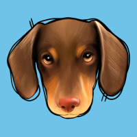 Dachshund Premium Sweatshirt | Teevron