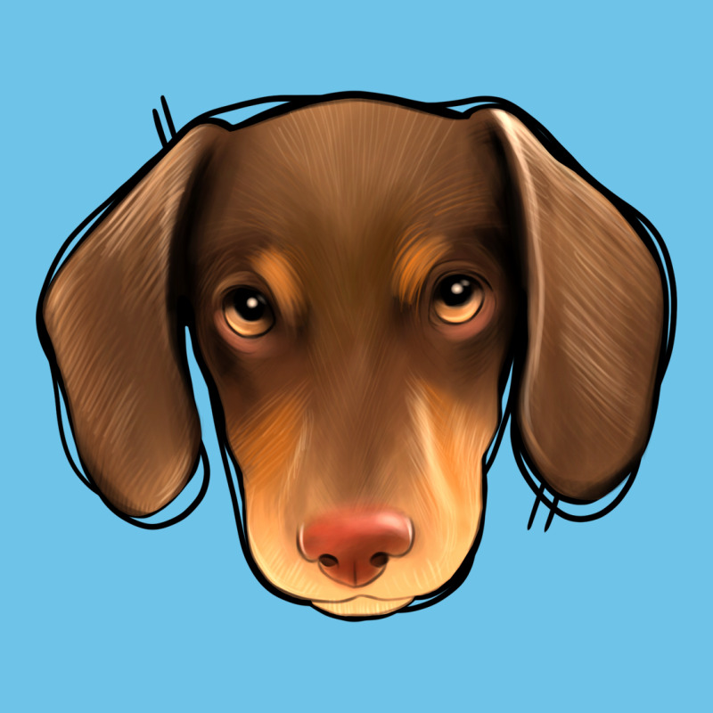 Dachshund Premium Sweatshirt by Jasminsmagicworld | Teevron