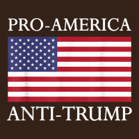 Pro America Anti Trump Shirt   American Usa Flag Resist T Shirt Heavy Core Tee | Teevron