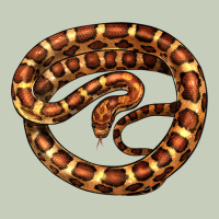 Corn Snake Illustrations Long Sleeve Tee | Teevron