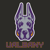 Ualbany Great Danes Heavy Core Tee | Teevron