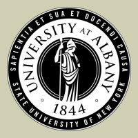 University Albany Suny Heavy Core Tee | Teevron