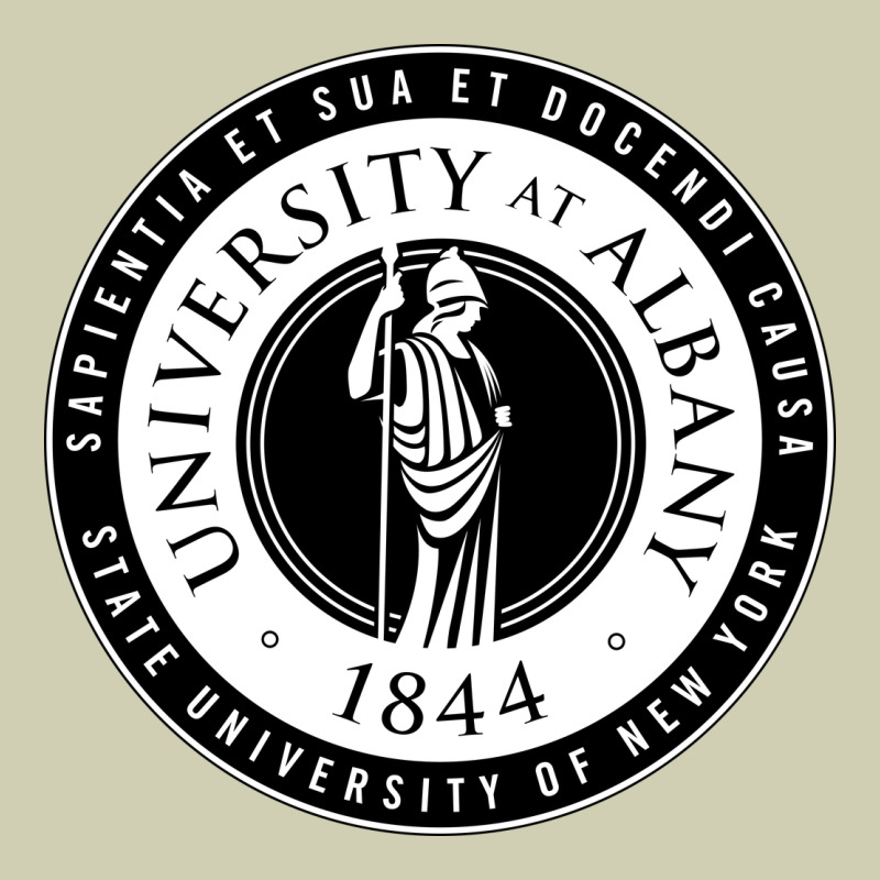 University Albany Suny Heavy Core Tee by linhVisuals | Teevron