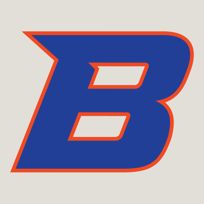 New-boise-state Heavy Core Tee by linhVisuals | Teevron