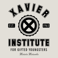Xavier Institute Heavy Core Tee | Teevron