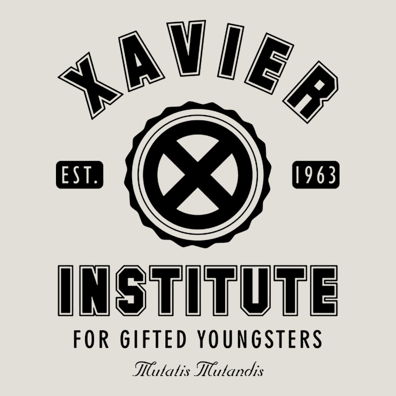 Xavier Institute Heavy Core Tee by linhVisuals | Teevron