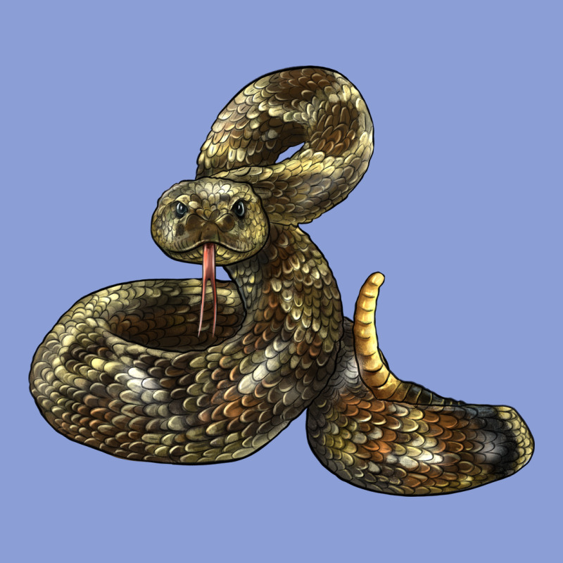 Rattlesnake Long Sleeve Tee by LillyAllenDesigns | Teevron