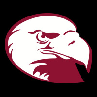 Lock Haven Bald Eagles Heavy Core Tee | Teevron