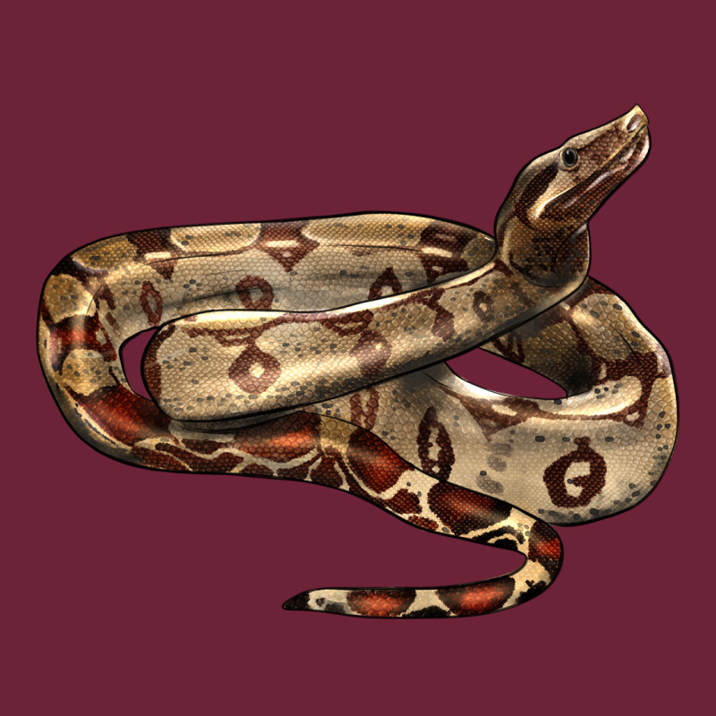 Red Tail Boa Snake Long Sleeve Tee by LillyAllenDesigns | Teevron