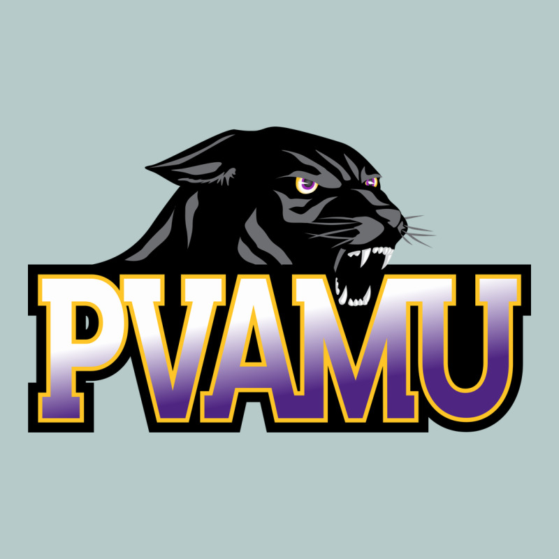 Prairie View A&m Panthers And Lady Panthers Rectangle Patch Heavy Core Tee by linhVisuals | Teevron