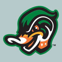 Down East Wood Ducks Heavy Core Tee | Teevron