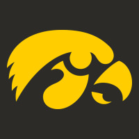 University Of Iowa Athletics Teams Gear Heavy Core Tee | Teevron