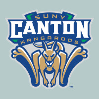 Suny Canton Heavy Core Tee | Teevron