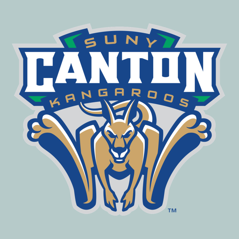 Suny Canton Heavy Core Tee by linhVisuals | Teevron