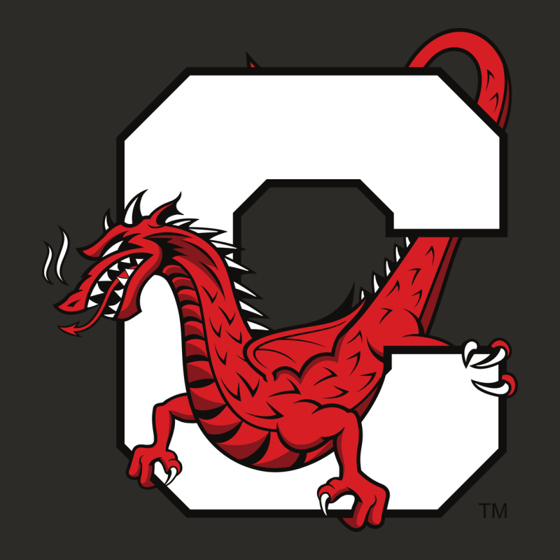 Suny Cortland Red Dragons Heavy Core Tee by linhVisuals | Teevron