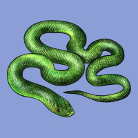 Boomslang Snake Long Sleeve Tee | Teevron