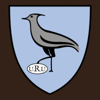Uruguay Rugby Heavy Core Tee | Teevron