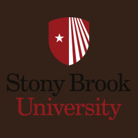 Stony Brook University Heavy Core Tee | Teevron