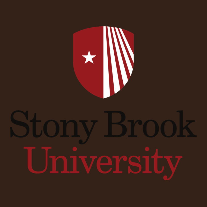 Stony Brook University Heavy Core Tee by linhVisuals | Teevron