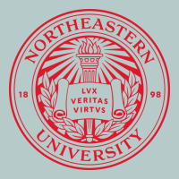 Northeastern University Heavy Core Tee | Teevron
