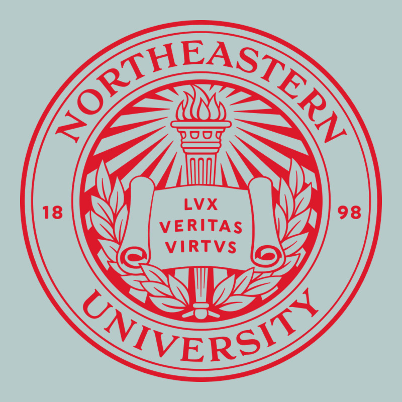 Northeastern University Heavy Core Tee by linhVisuals | Teevron