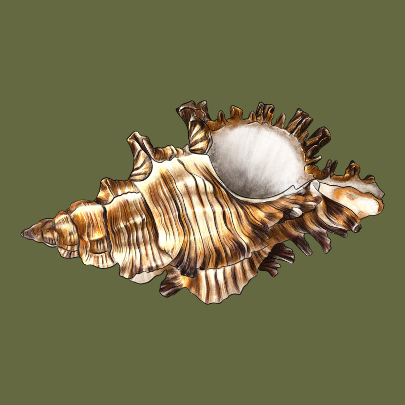 Murex Snail Long Sleeve Tee by LillyAllenDesigns | Teevron