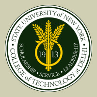 Suny Delhi Heavy Core Tee | Teevron