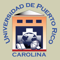 Upr At Carolina Heavy Core Tee | Teevron