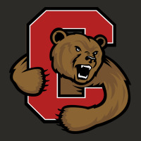 Cornell Big Red Heavy Core Tee | Teevron