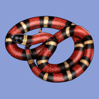 Milk Snake Long Sleeve Tee | Teevron