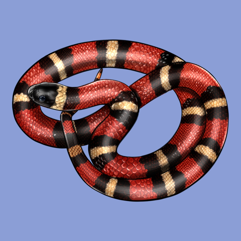 Milk Snake Long Sleeve Tee by LillyAllenDesigns | Teevron