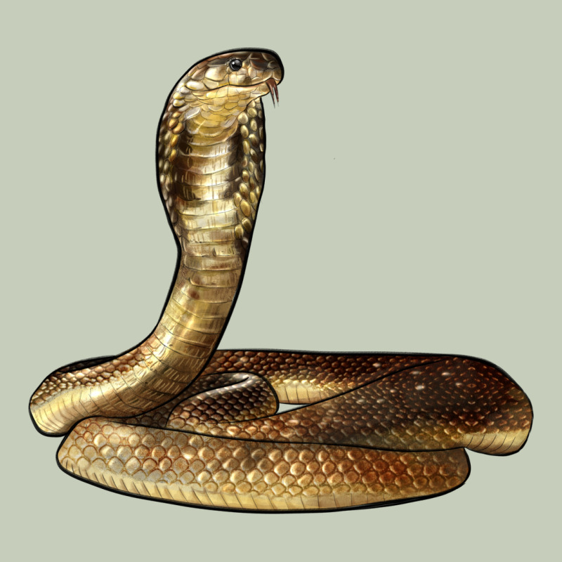 King Cobra Snake Long Sleeve Tee by LillyAllenDesigns | Teevron