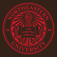 Northeastern University Heavy Core Tee | Teevron