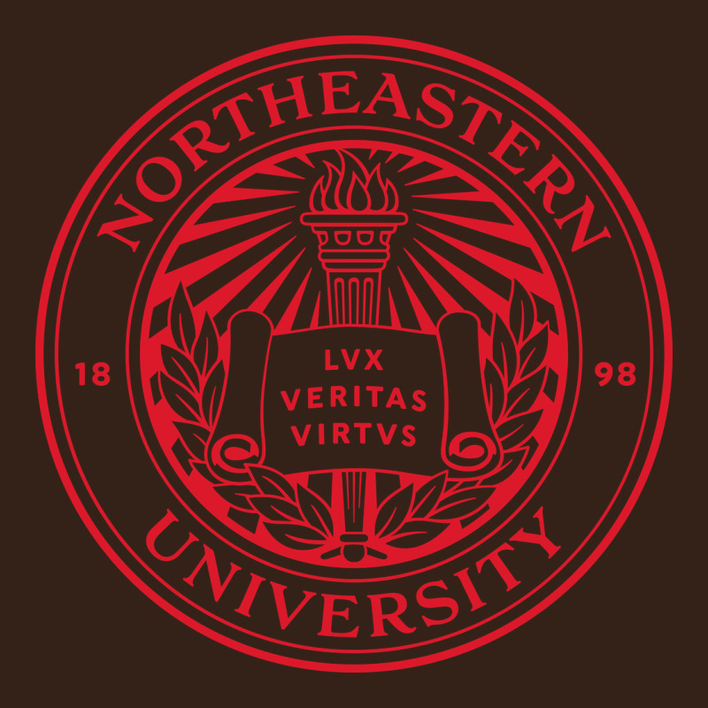 Northeastern University Heavy Core Tee by linhVisuals | Teevron